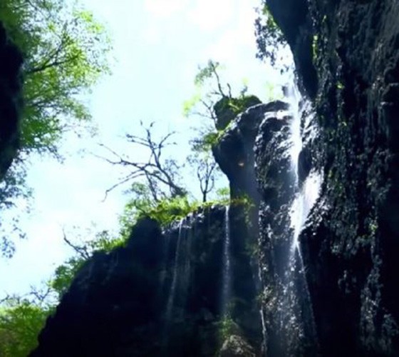 青山綠水，白龍江畔江畔息白鷺，兩岸綠橄欖入眼的都是純樸自然枝上花開(kāi)，春來(lái)水暖魚(yú)蝦戲水，鳥(niǎo)語(yǔ)花香心中充滿(mǎn)著舒暢之感祥宇生態(tài)產(chǎn)業(yè)園，位于隴南市武..